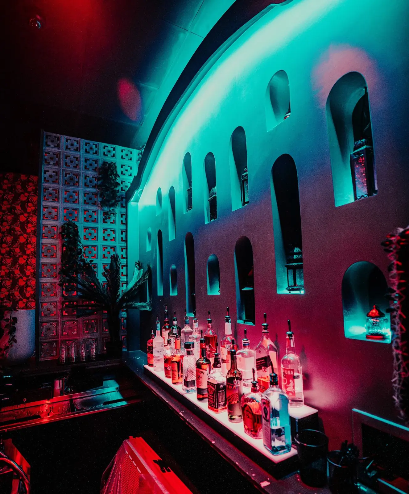 Backlit bottles behind the bar